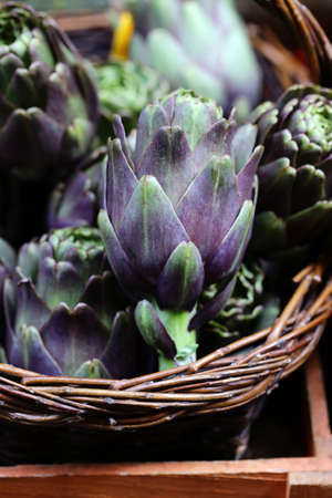natural purple vegetables artichokes for salad and canningの写真素材