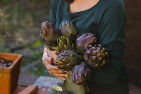natural purple vegetables artichokes for salad and canningの写真素材