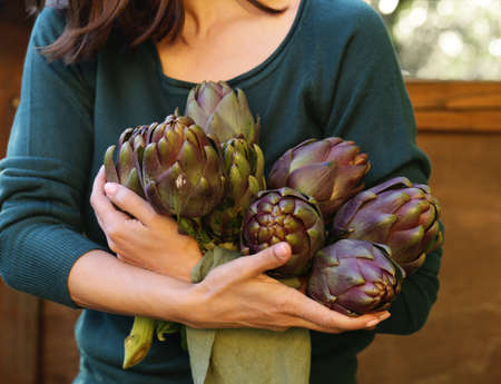 natural purple vegetables artichokes for salad and canningの写真素材