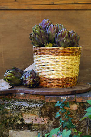 natural purple vegetables artichokes for salad and canningの写真素材