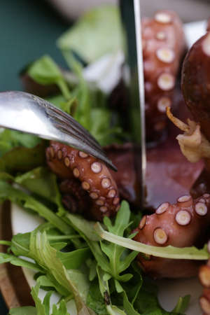 natural fresh octopus with herbs and wine