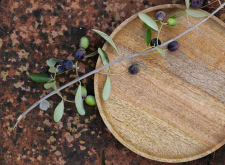 fresh organic olives traditional snackの写真素材