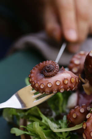natural fresh octopus with herbs and wine