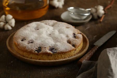 natural homemade berry cake with icing sugar