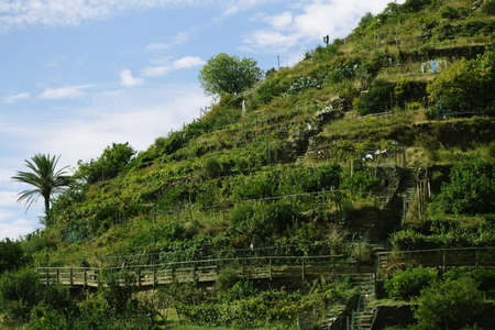 Italian landscapes, architecture and gardens beautiful viewsの写真素材