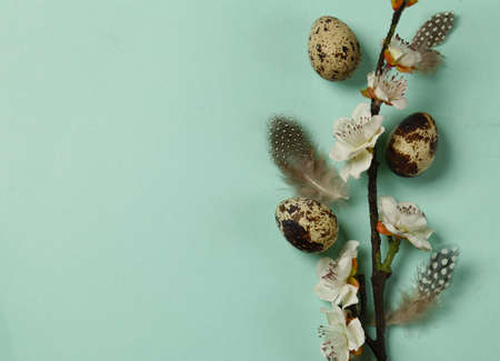 easter composition with quail eggs