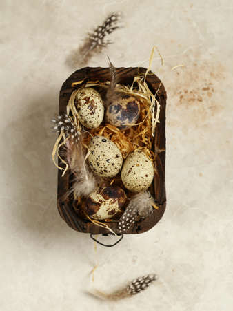 easter composition with quail eggsの写真素材