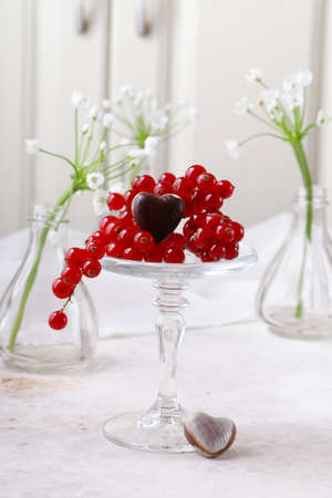 red currant berries on a white backgroundの写真素材