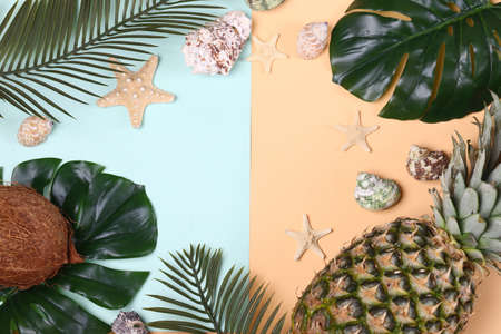 tropical style life with shells and fruitsの写真素材