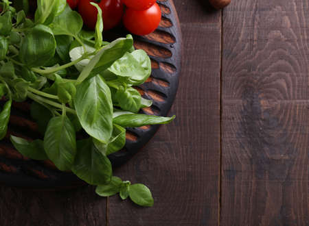 fresh organic green basil on the tableの写真素材