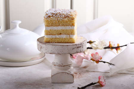 homemade sponge cake with creamの写真素材