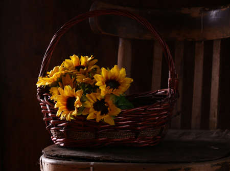 old vintage wooden chair with sunflowersの写真素材