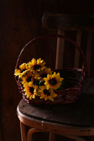 old vintage wooden chair with sunflowersの写真素材