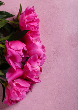 still life peonies flowers for background and decorationの写真素材