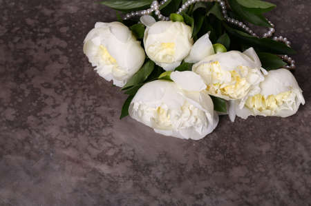 still life peonies flowers for background and decorationの写真素材