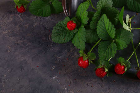 natural wild berry strawberries on a wooden table