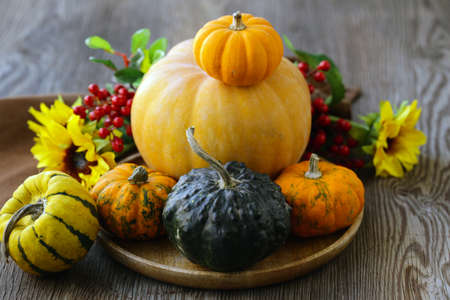autumn still life with fresh pumpkins for decorationの写真素材