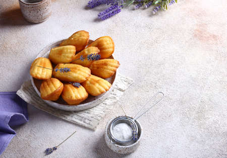 french traditional madeleine biscuits with lavender