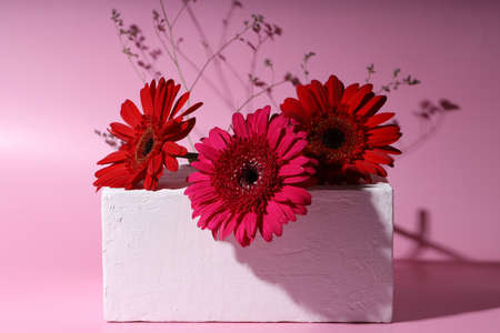 red gerbera flower on modern still lifeの写真素材