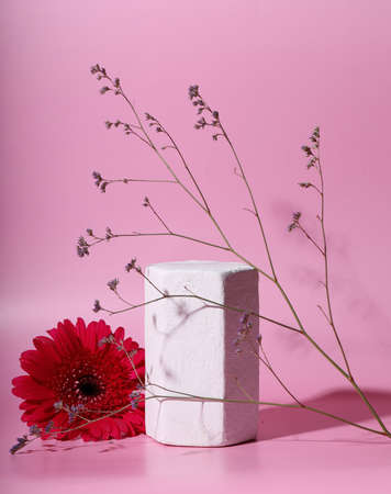 red gerbera flower on modern still lifeの写真素材