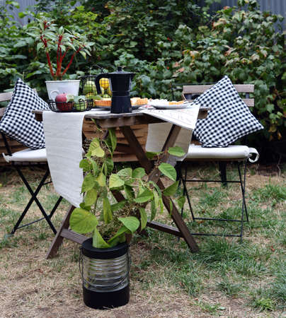 still life breakfast in the garden with pie and fruit