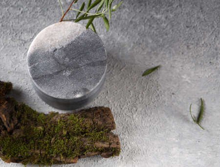 modern style organic background for designの写真素材