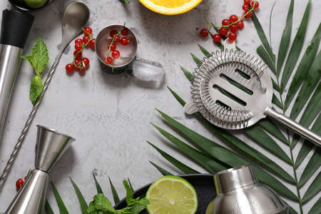 cocktail shaker tools set with berries and fruits