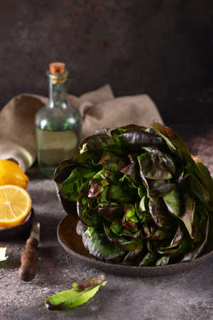 fresh organic lettuce salad on table healthy foodの写真素材