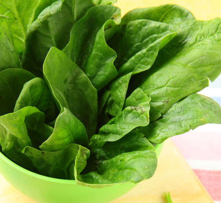 fresh natural spinach salad food