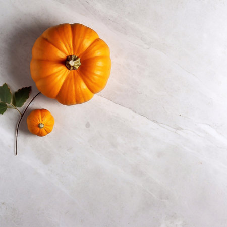 vegetables autumn pumpkins thanksgiving halloweenの素材