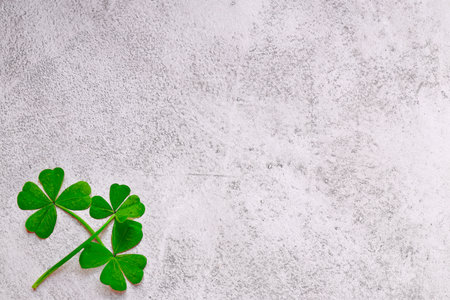 st patrick's day holiday decor banner cloverの写真素材