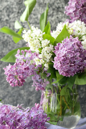 fresh beautiful flowers lilac white and lilacの写真素材