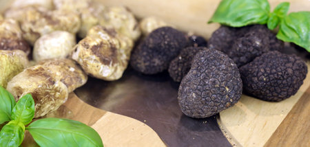 delicious mushroom truffle on a wooden boardの写真素材