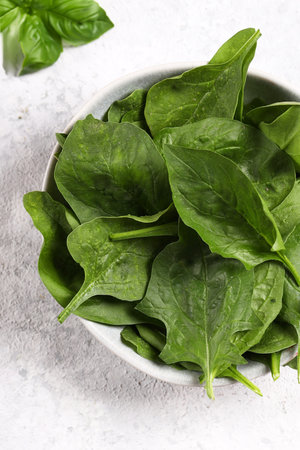fresh organic spinach in a bowl for healthy eatingの写真素材