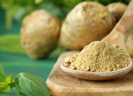 ground and fresh ginger spices for healthy eatingの写真素材