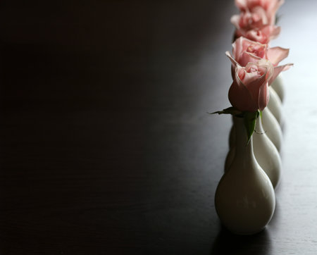 rose flowers in vases for interior decorationの写真素材