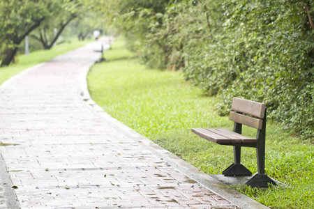 bench in a parkの写真素材