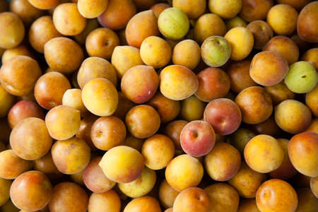 stacked of ripe plumsの写真素材