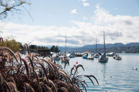 The harbor of zurich in the foreground on a sunny day in zurich in switzerlandの写真素材