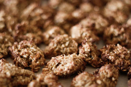 Brown, beige oat cookies fresh out of the oven in natural lightの写真素材