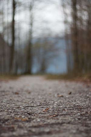 Dark gravel path framed by the surrounding trees on a cloudy day, shot in a forest on the island saint bartholomae on the bavarian koenigsseeの写真素材