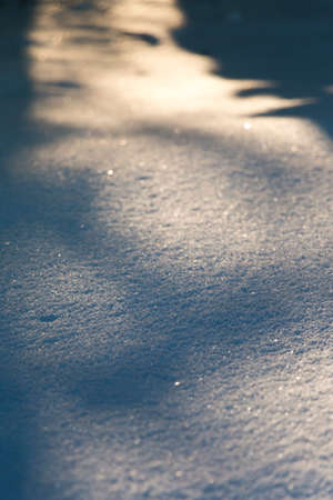 macro of sparkling snow in golden evening sun with shallow depth of fieldの写真素材