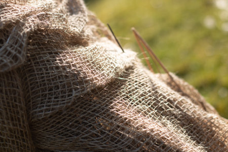 Burlap Wrapped Around Plant Stems for Winter Protection, Highlighting Its Practicality and Natural Textureの写真素材