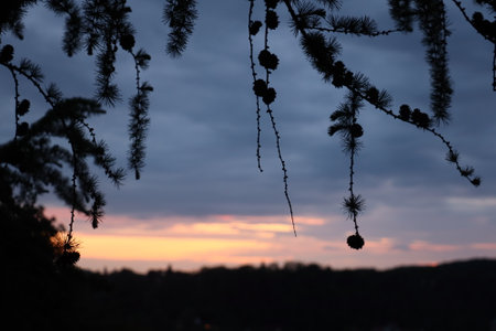 Tranquil Lakeside Scenery Under a Vast Skyの写真素材