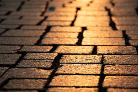 Cobblestone street in Leipzig at sunriseの写真素材