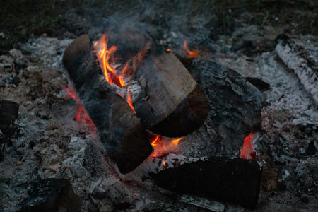 Burning campfire logs with glowing embers-outdoor warmth