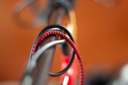 Bundled red and black cables with blurred background-abstract technology