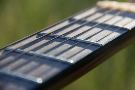 Guitar neck and frets with a blurred green backgroundの写真素材