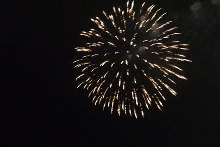 Colorful fireworks exploding in a dark night sky-celebration and lightの写真素材