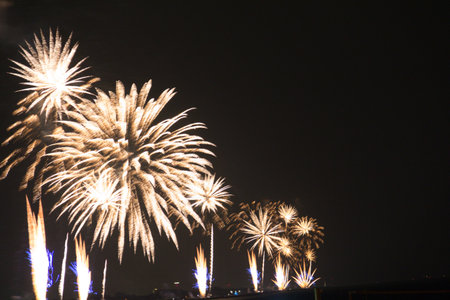 Colorful fireworks exploding in a dark night sky-celebration and light